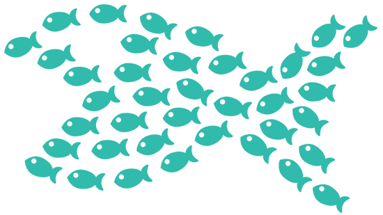 ecloo_swarm